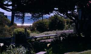 Our Santa Cruz Beach