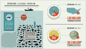 bycatch_infographic_thumb