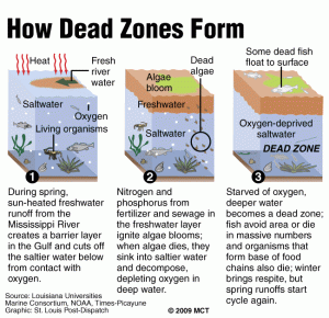Gulf_dead_zone-ashz-130422