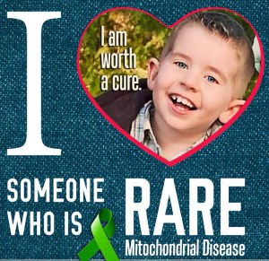 1901227_720170031328084_2097966164_n