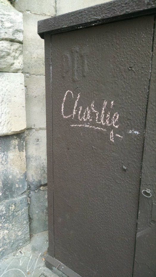 IMG_20150111_132411070